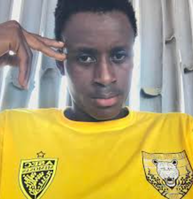 <em><strong>Ousmane Sarr</strong></em>